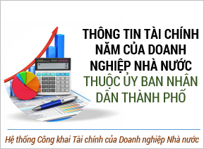 Thông tin tài chính năm 2014 của doanh nghiệp nhà nước thuộc Ủy ban nhân dân thành phố 